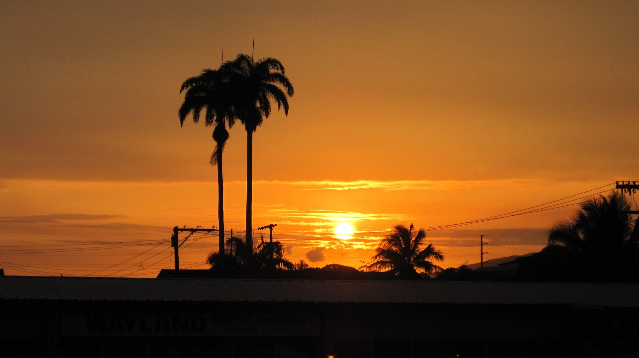 Hawaii sunset with palm trees